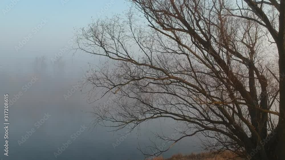 Flight over the forest lakes. Morning. Fog. Sunrise. Flight over the forest lakes. Morning. Fog. Sunrise.