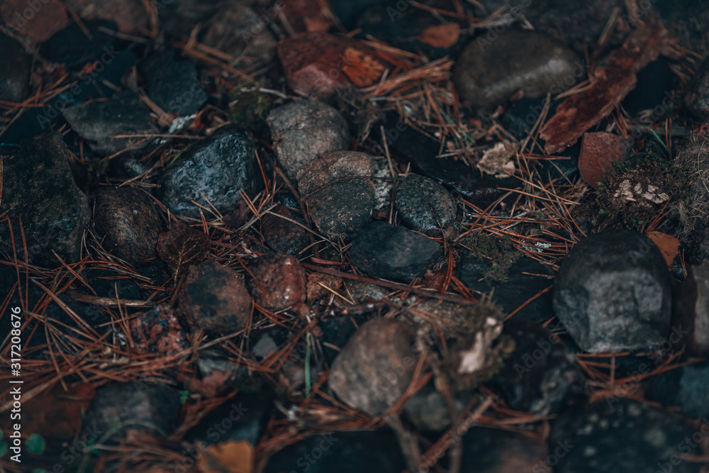Wet forest stones, defocused background. Gloomy photo with stones, top view