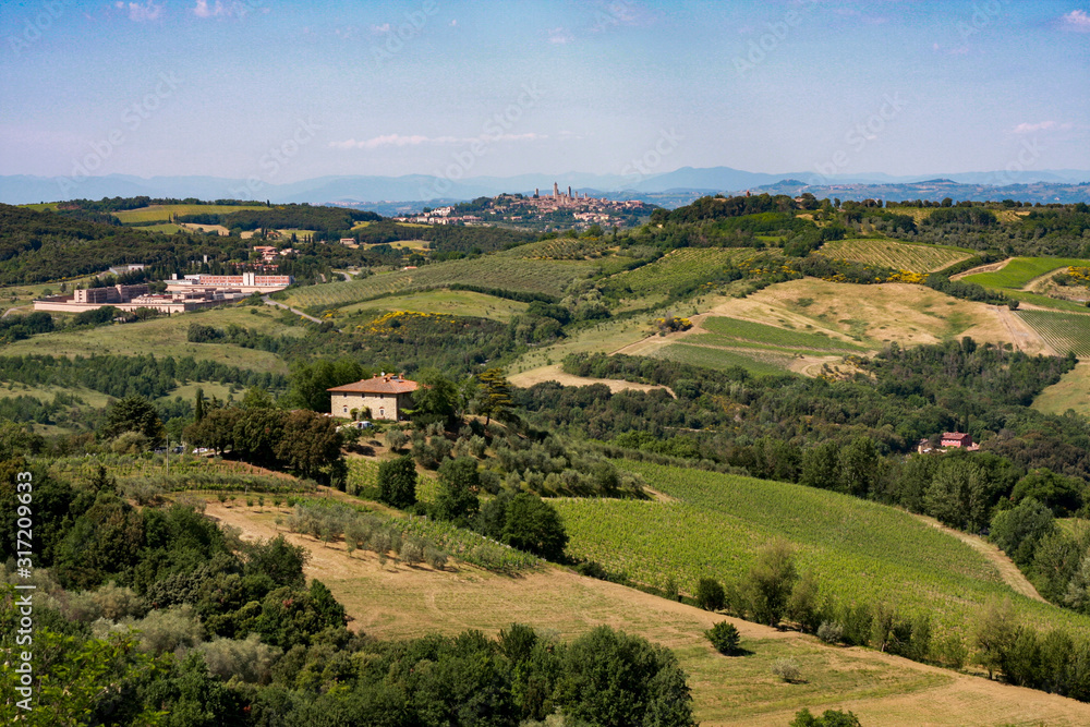 Classic Italian landscape in Tuscany with vineyards, cypresses, hills in late spring
