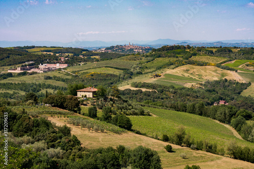 Classic Italian landscape in Tuscany with vineyards, cypresses, hills in late spring