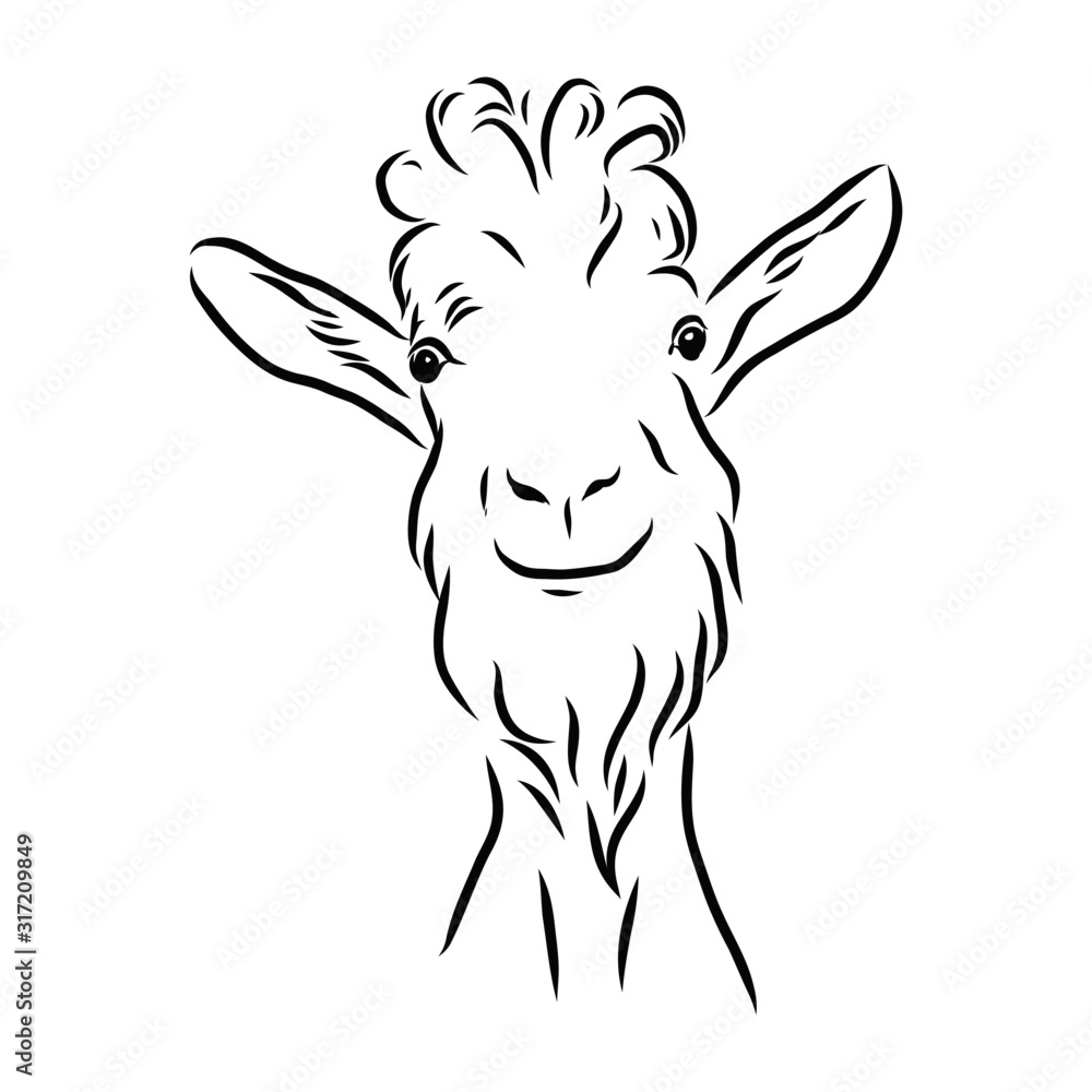 vector illustration of a goat, funny smile animal 