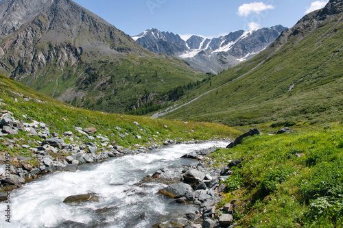 Summer alpine landscape. View at wild mountain river.