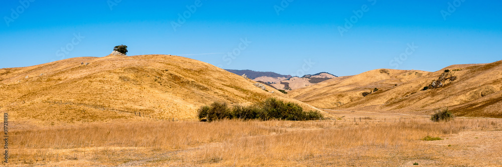 Panorama tolle gelbe Hügel in California am Highway 1 Panorama tolle gelbe Hügel in California am Highway 1