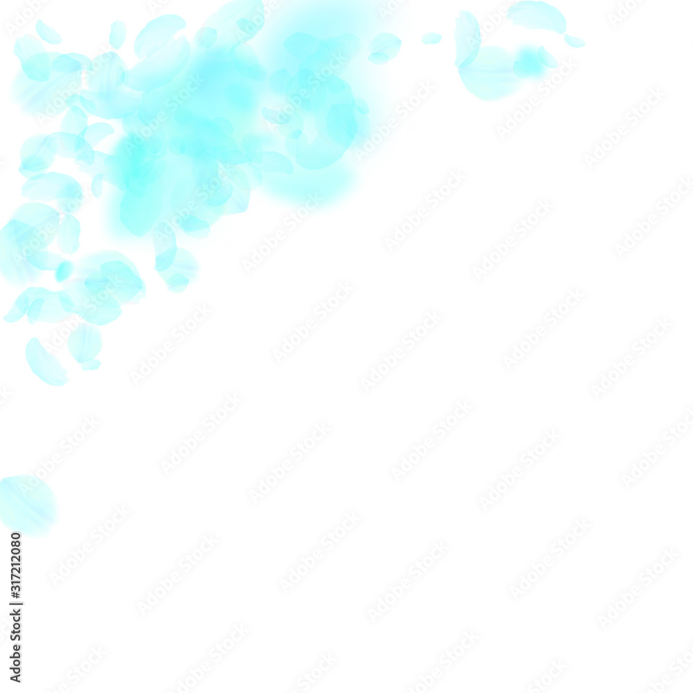 Turquoise flower petals falling down. Incredible r Turquoise flower petals falling down. Incredible r