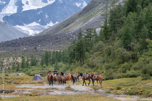 Alpine landscape. Altai horseman leading a herd of horses. Ethnography and tourism of Altai. photo