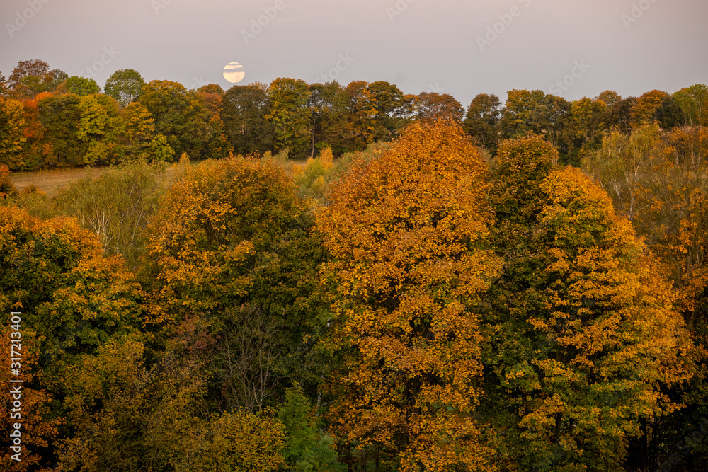 Landschaft Herbst Kühl Bunt