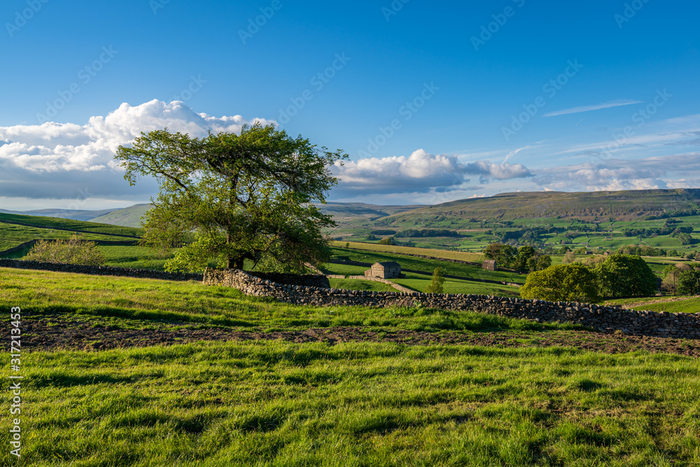 Landscape in the Upper Wensleydale near Gayle, North Yorkshire, England, UK