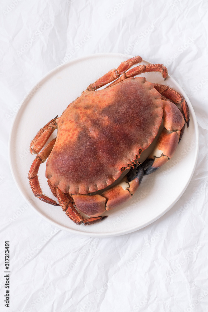 Cooked crab on a white dish, white paper background. Delicious seafood Cooked crab on a white dish, white paper background. Delicious seafood