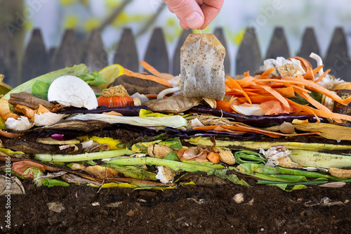 Male hand adding a biodegradable teabag to a colorful compost heap consisting of rotting kitchen leftovers