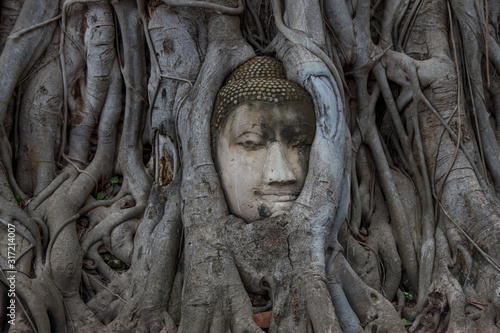 Head of Buddha in a tree in Boran city, Ayutthaya province, Thailand © weerachai