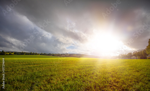 Wiese Feld Gegenlicht Sonne Frühling