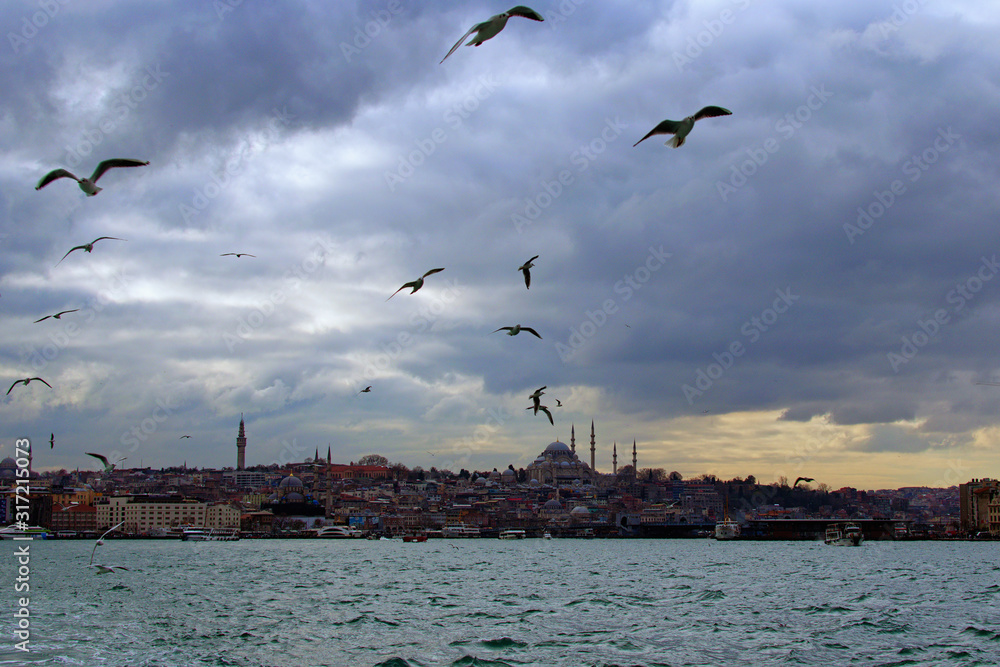 Instanbul, Turkey-January 03, 2020: Panoramic view of The Bosporus (Bosphorus or Strait of Istanbul) and buildings of Istanbul. White seagulls are flying over the sea. Cloudy winter day