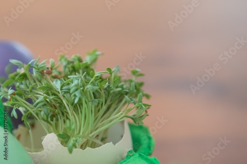 Decorative handmade easter egg present box with eggs and cress. Beautiful decoration easternest basket with painted eggshells for celebration. Lovely traditional gift design on wooden background photo