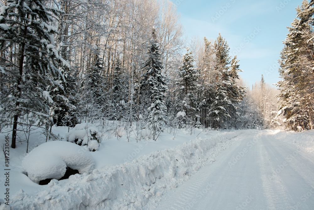 Obraz premium Winter