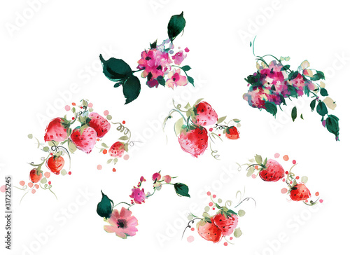 Wallpaper Mural Flowers watercolor illustration.Manual composition.Big Set watercolor elements. Torontodigital.ca