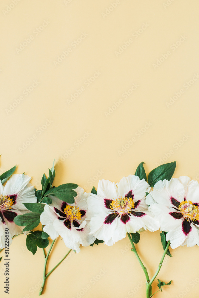White peonies flowers on yellow background. Flat lay, top view minimal floral composition. - obrazy, fototapety, plakaty 