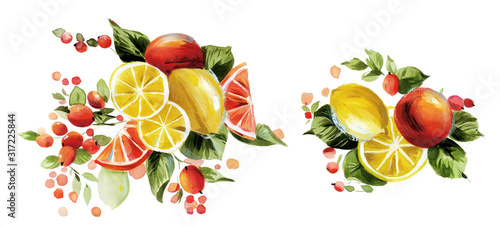 Lemon watercolor illustration.Manual composition.Big Set watercolor elements.