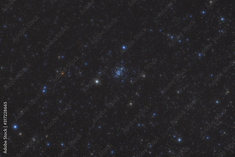 Obraz premium かに座