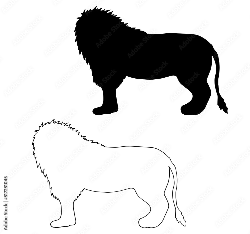 Black silhouette of a lion with a beautiful mane and tail on a white isolated vector background.