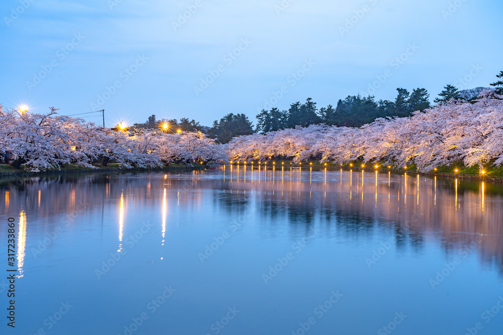 Hirosaki park cherry blossoms matsuri festival in springtime season. Beauty full bloom pink sakura flowers light up at night in west moat. Aomori Prefecture, Tohoku Region, Japan