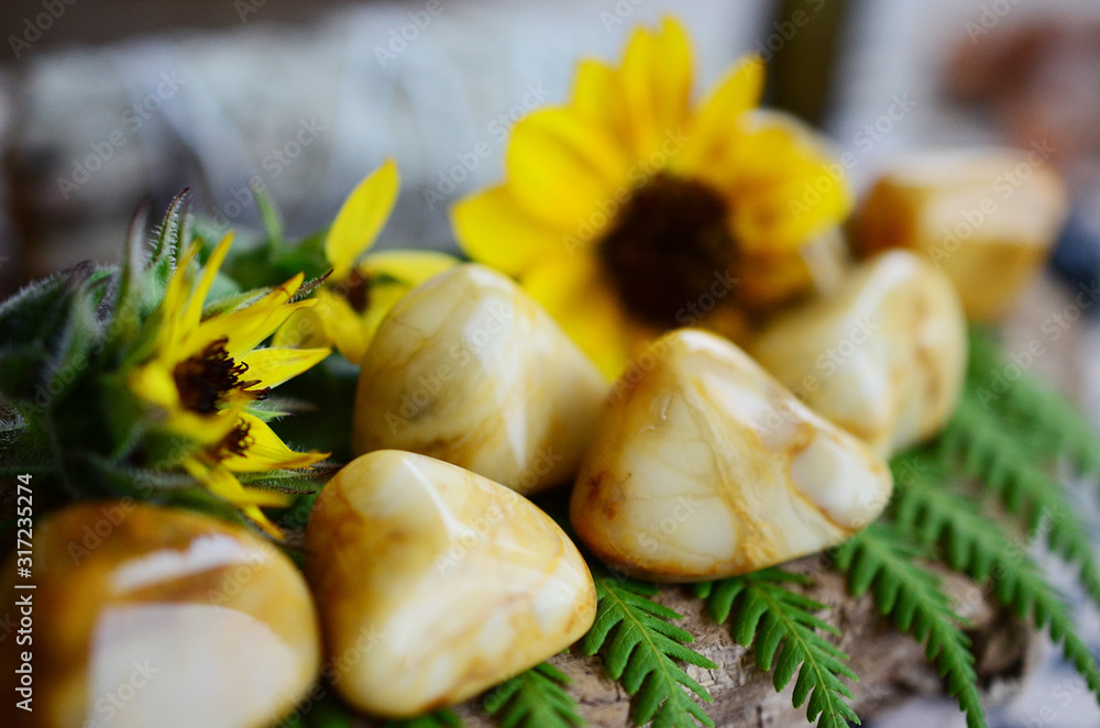 Large Tumbled Yellow Jasper! Creamy, yellow swirls. Beautiful intricate yellow jasper, great for detox and strength. Witches healing crystal. Vintage styled photo with lush colors, natural lighting. Large Tumbled Yellow Jasper! Creamy, yellow swirls. Beautiful intricate yellow jasper, great for detox and strength. Witches healing crystal. Vintage styled photo with lush colors, natural lighting.