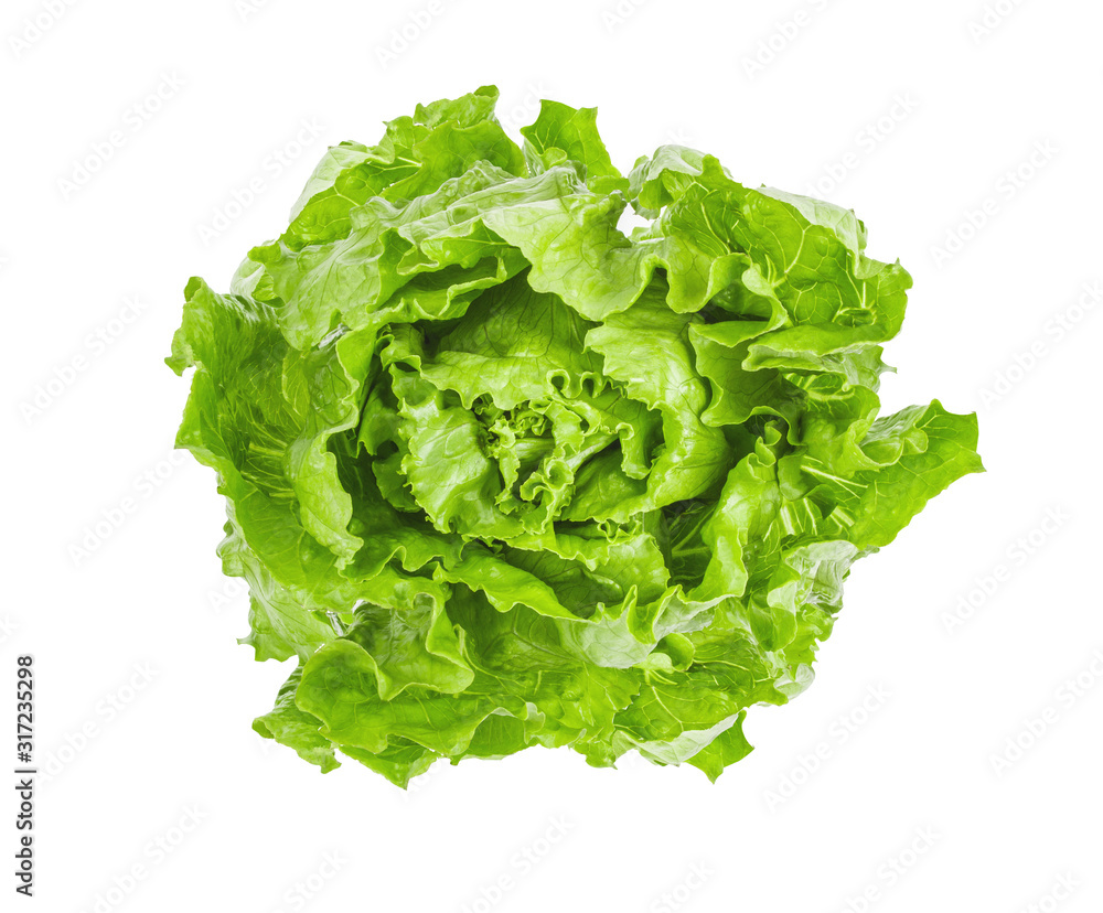Lettuce isolated on white background with clipping path Lettuce isolated on white background with clipping path