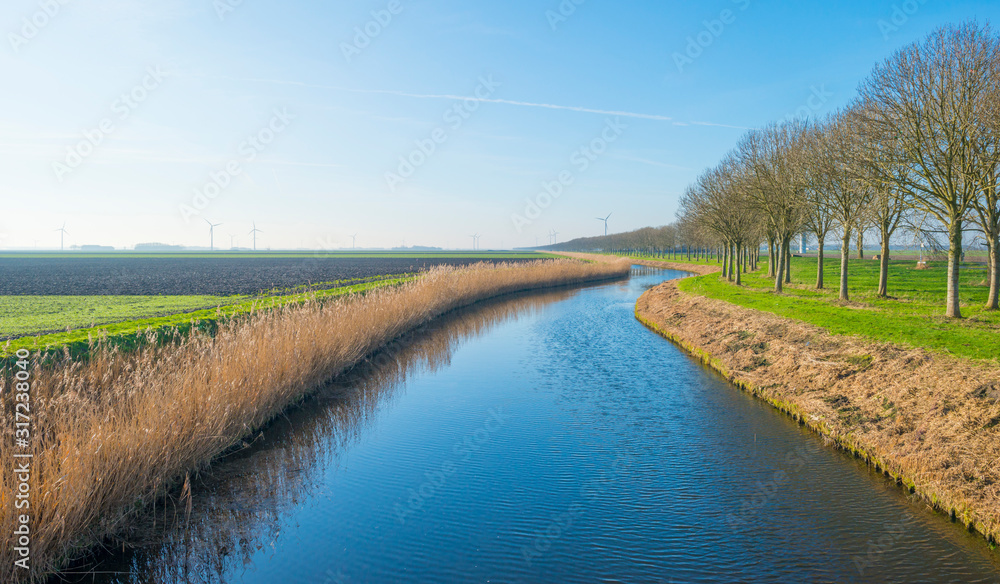 Canal in a rural landscape in sunlight below a blue sky in winter Canal in a rural landscape in sunlight below a blue sky in winter