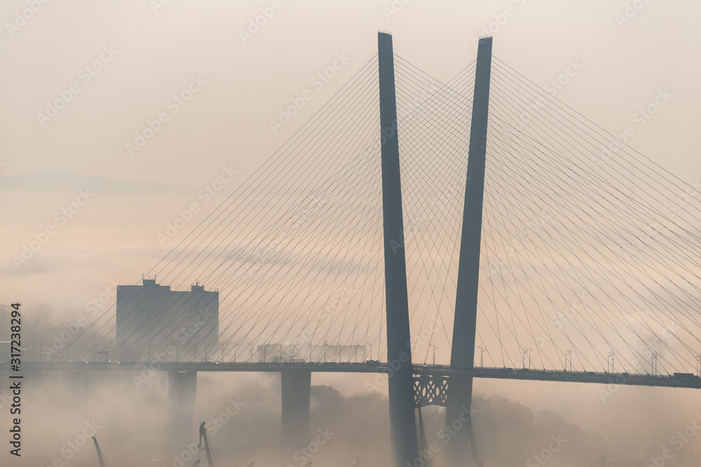 Obraz premium Cityscape daylight view. Fog over the city.