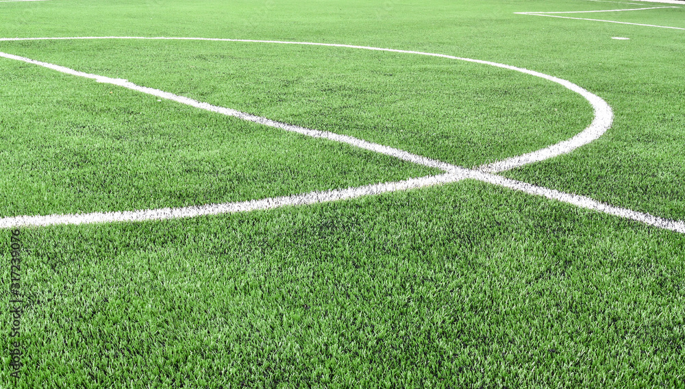 Fototapeta premium Center line of field