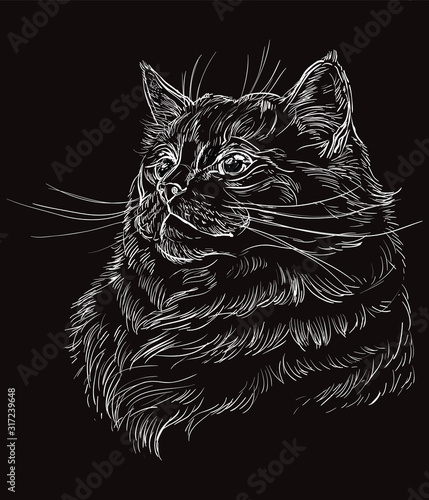 Black vector cat portrait 10 © alinart
