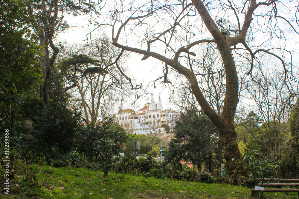 natural landscape with trees, fog and palaces natural landscape with trees, fog and palaces