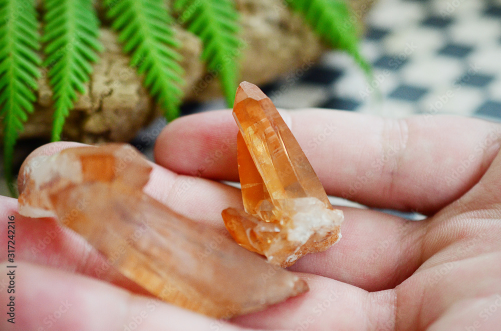 Tangerine Quartz in womans hand! Premium quality crystal Quartz healing stone, extremely unique crystal formation! Red Quartz Specimen, orange quartz stone. Rough crystal point, natural lighting Tangerine Quartz in womans hand! Premium quality crystal Quartz healing stone, extremely unique crystal formation! Red Quartz Specimen, orange quartz stone. Rough crystal point, natural lighting