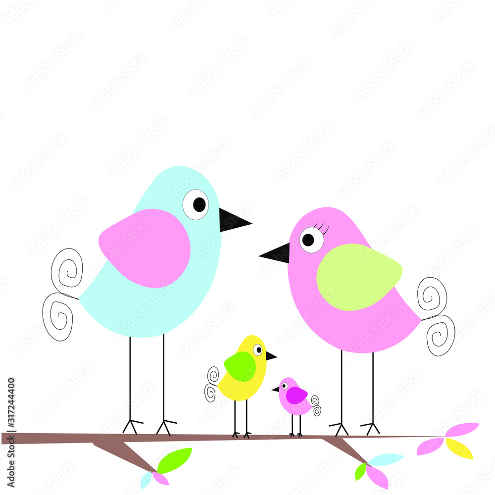 bird illustration 
