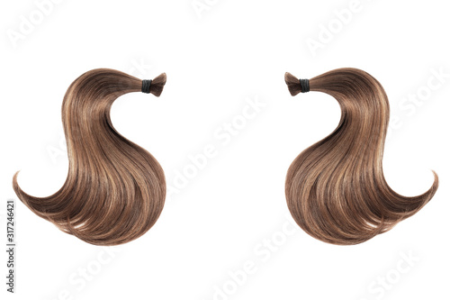 Brown hair isolated on white background. Two ponytail