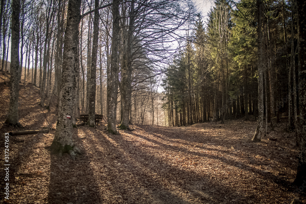 Fototapeta premium Mountain