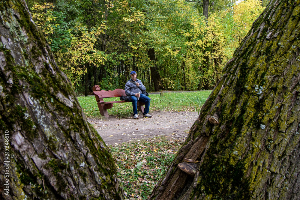 Autumn. The photographer takes a meal on a background of trees in the park Kuskovo. Moscow