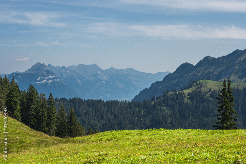 Beautiful swiss alps mountains. Alpine meadows.  