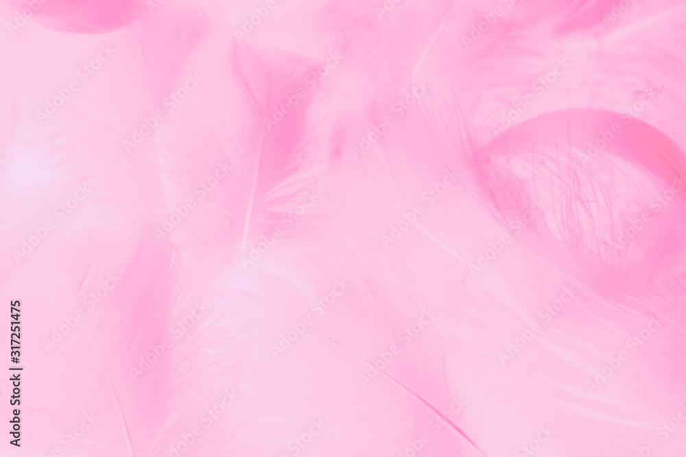 Fototapeta premium Beautiful abstract colorful white and pink feathers on white background and soft white feather texture on light pattern and light purple background, colorful feather, purple banners