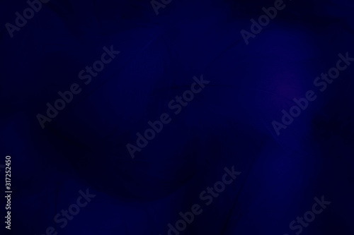 Beautiful abstract colorful black and purple feathers on black background and soft white blue feather texture on dark pattern and light blue background, colorful feather, purple banners