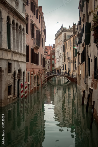 Venice #317253039