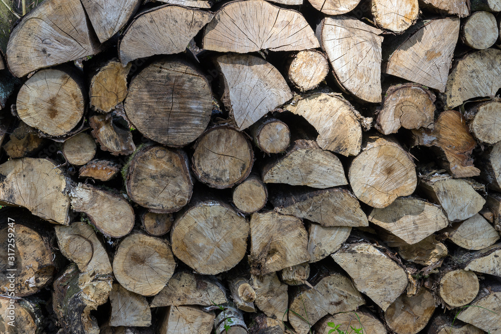 stacked wood in the black forest stacked wood in the black forest