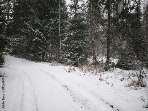 Beautiful winter landscape with road, forest and falling snow