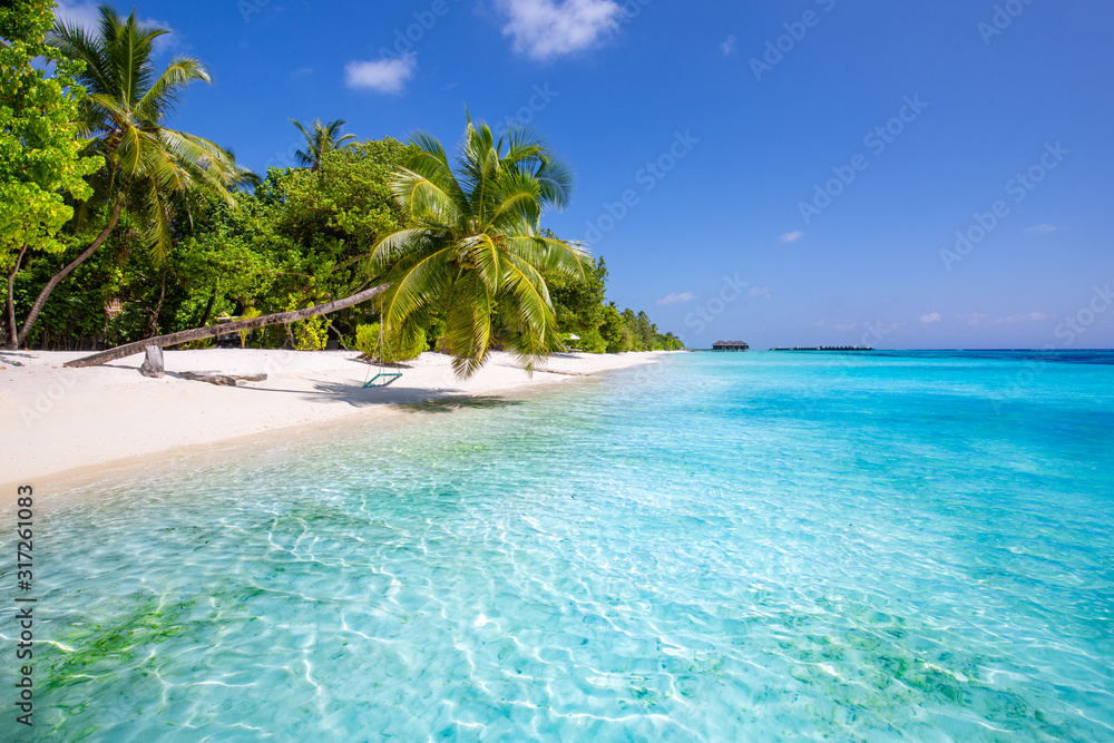 Fototapeta Transparent krajobraz pięknej tropikalnej plaży. Biały piasek i palmy kokosowe koncepcja szerokiej panoramy tła. Niesamowite wykorzystanie sceny na plaży na letnie wakacje i egzotyczne wakacje, luksusowy cel podróży turystycznych