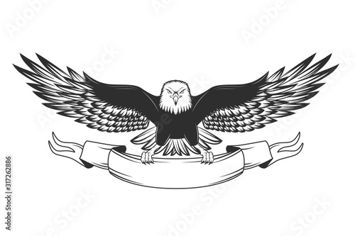 Eagle isolated on white. Vector illustration.