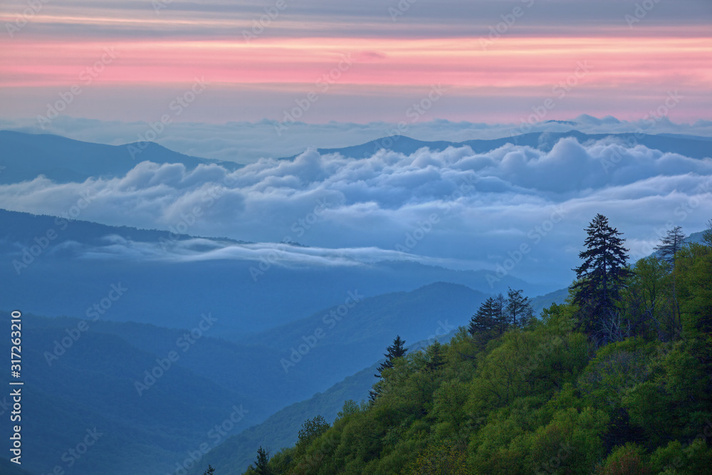 Summer landscape at dawn from the Oconaluftee Overlook of the Great Smoky Mountains in fog, Tennessee, USA
