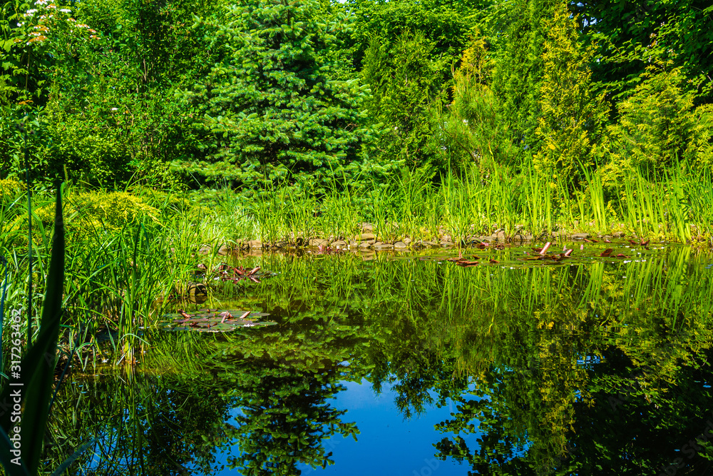 Beautiful garden pond with stone beach against backdrop of evergreen garden. Evergreens are reflected in mirror surface. Blue sky is reflected in pond with stone shore. Spring joyful landscape. Beautiful garden pond with stone beach against backdrop of evergreen garden. Evergreens are reflected in mirror surface. Blue sky is reflected in pond with stone shore. Spring joyful landscape.