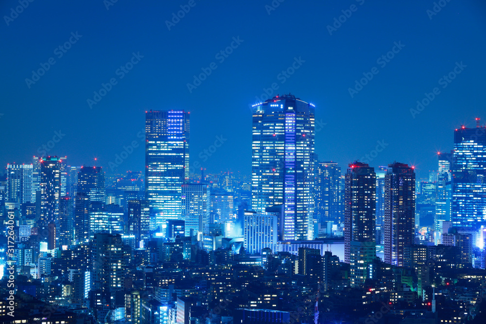 光が溢れる東京の夜景