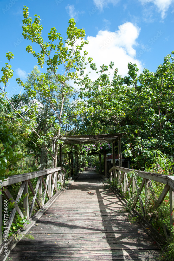 Road Town Botanical Garden Wooden Path