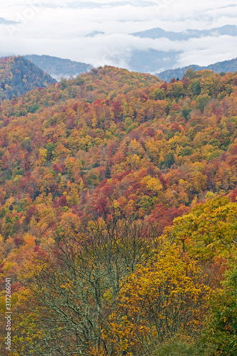Autumn landscape from the Blue Ridge Parkway, North Carolina, USA