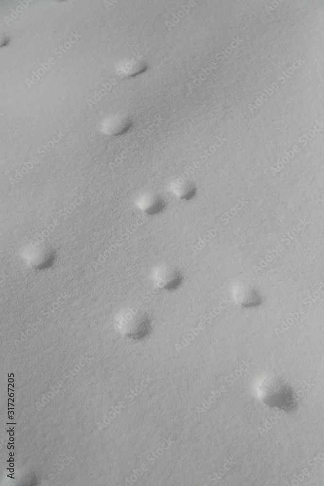 Aerial view of a human footprints on white snow on the frozen lake Aerial view of a human footprints on white snow on the frozen lake